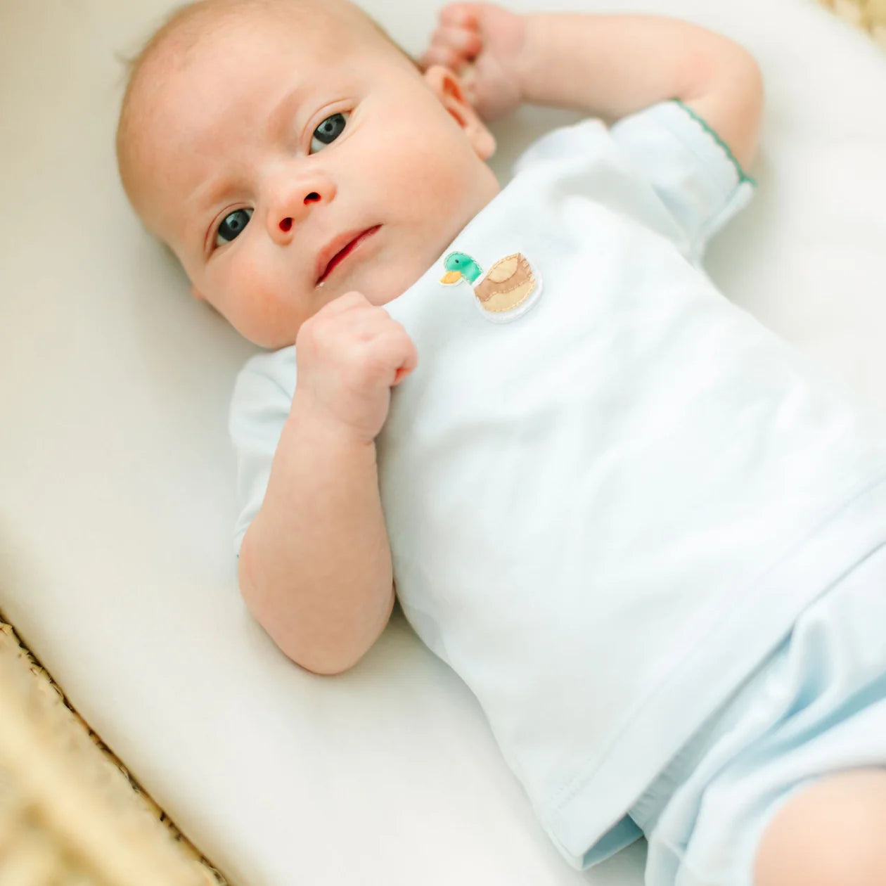 Mini Mallard Embroidered Diaper Cover Set - Light Blue