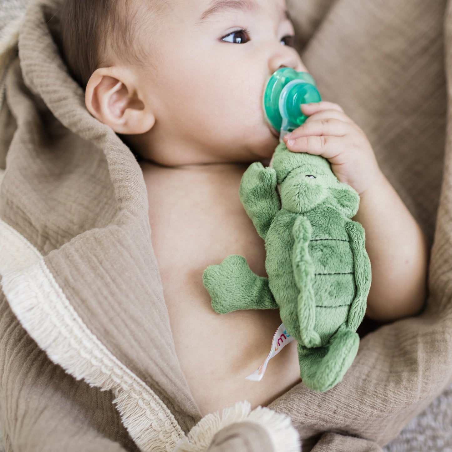 Alli Alligator Paci-Plushie