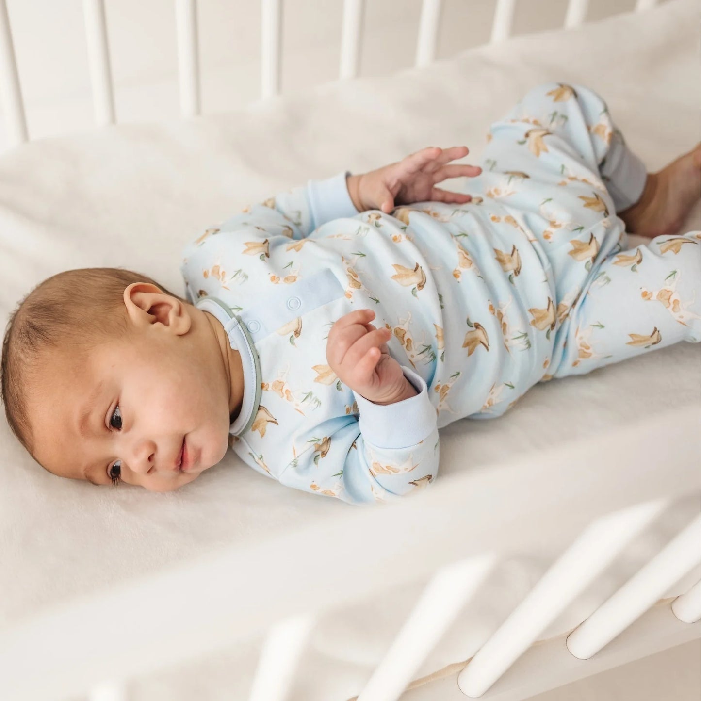 Duck and Hound Pant Set